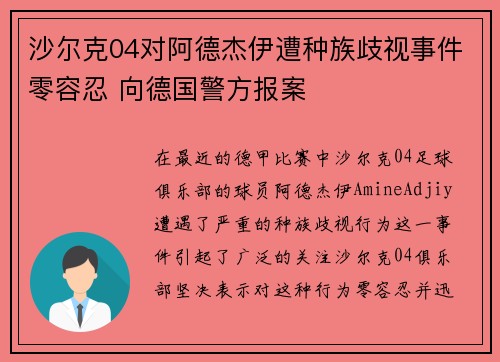 沙尔克04对阿德杰伊遭种族歧视事件零容忍 向德国警方报案